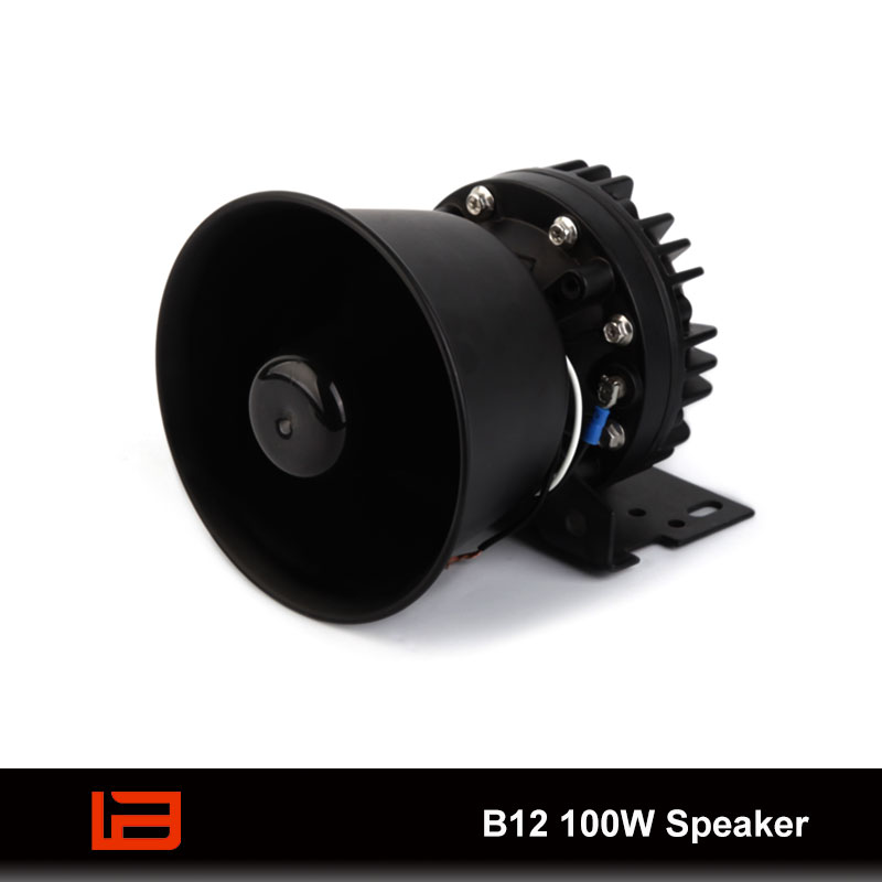 B12 Altavoz 100W